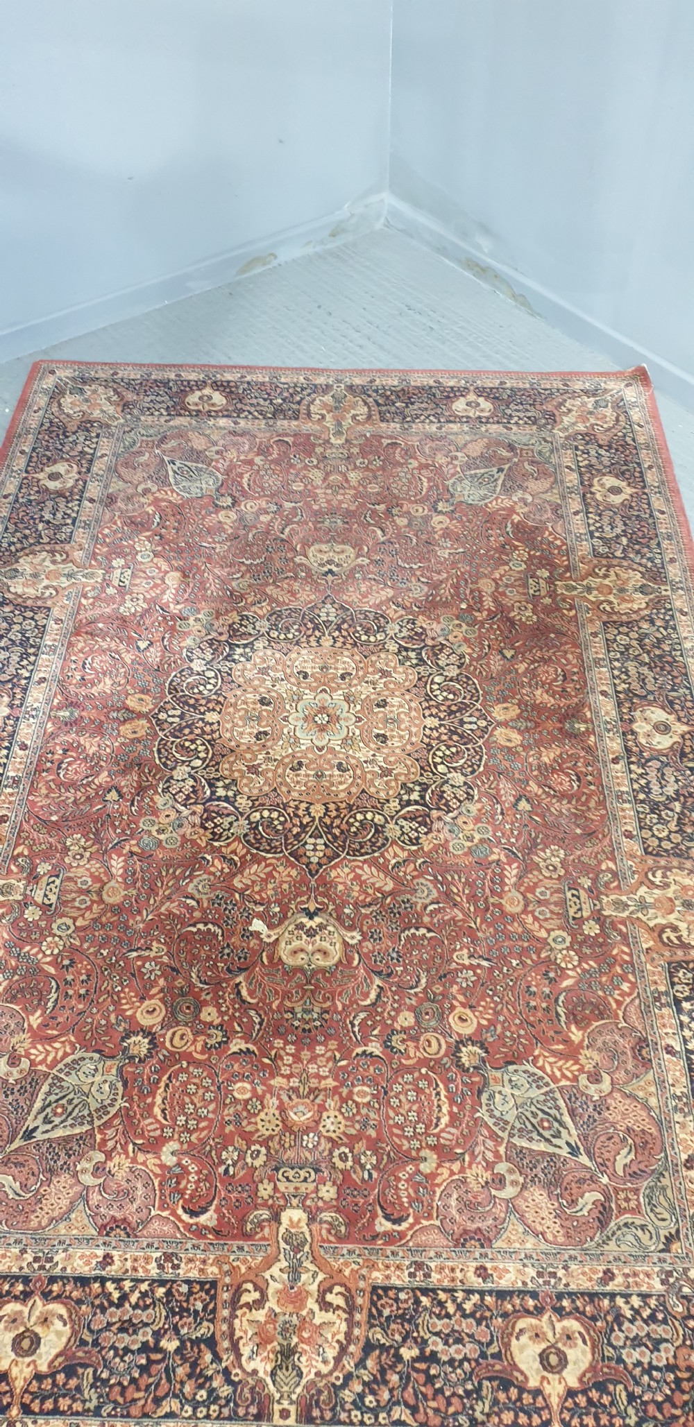 Excellent Wool Carpet View VIII