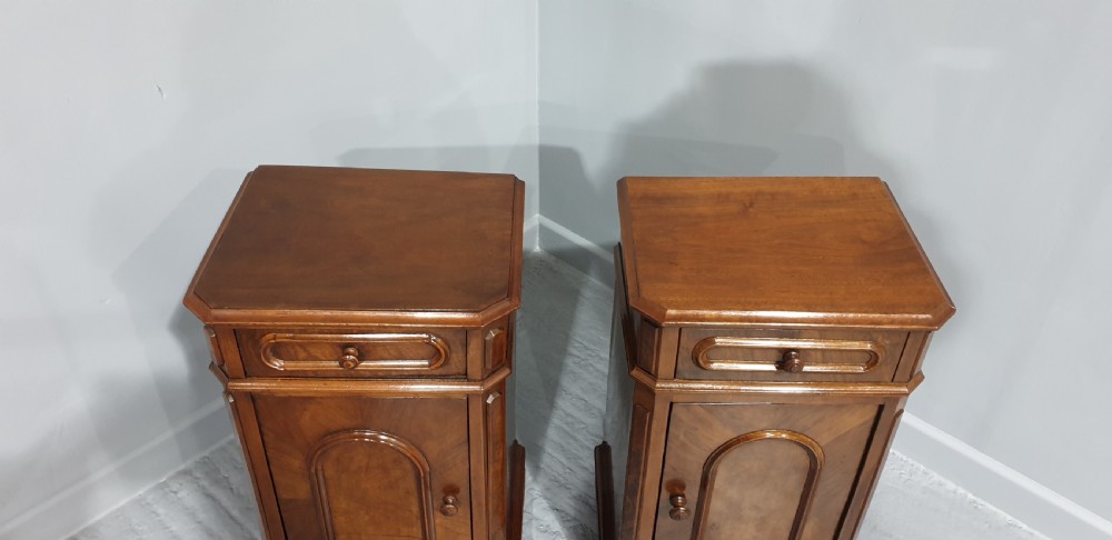 Pair Victorian Walnut Bedside Cabinets View V