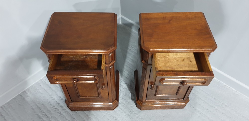 Pair Victorian Walnut Bedside Cabinets View VIII