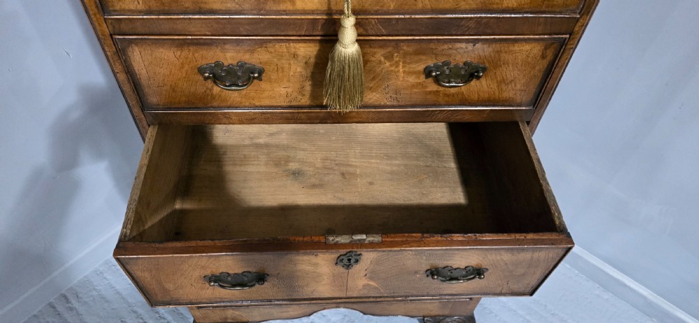 Top Quality Queen Ann Burr Walnut Chest on Stand View VII