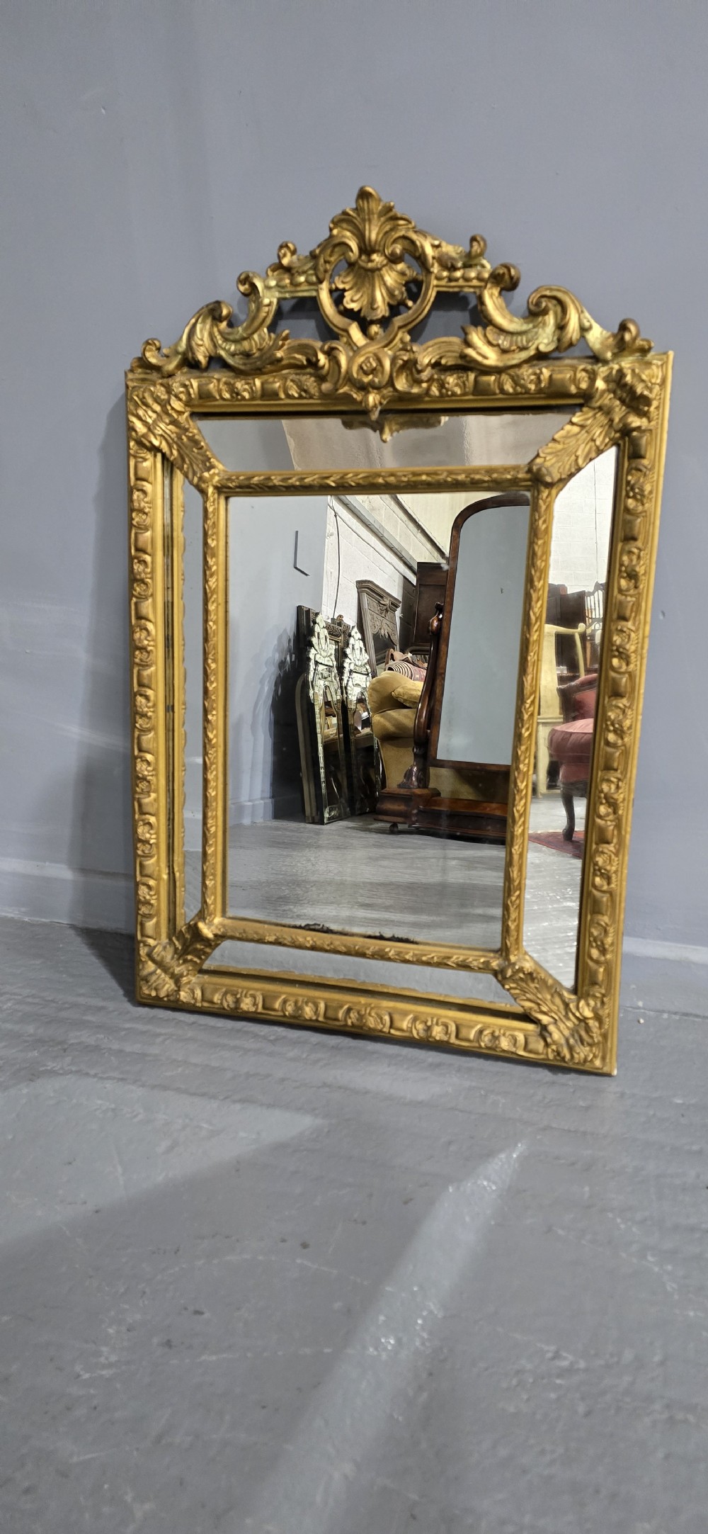 French Gilt Marginal Mirror View II