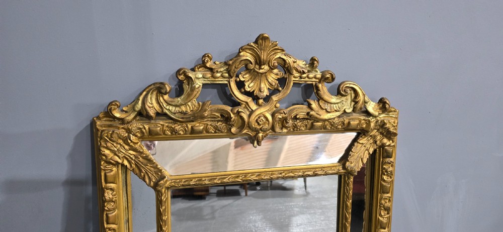 French Gilt Marginal Mirror View III