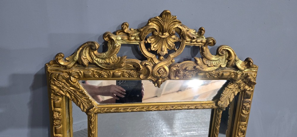 French Gilt Marginal Mirror View IV