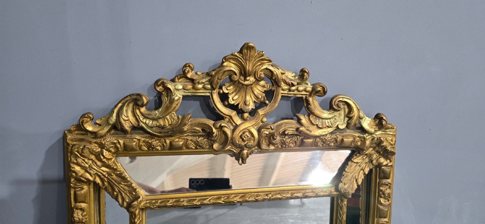 French Gilt Marginal Mirror View V
