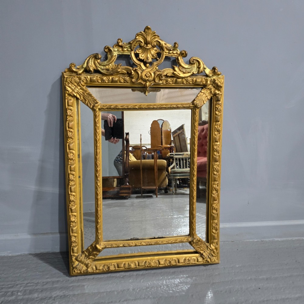 French Gilt Marginal Mirror