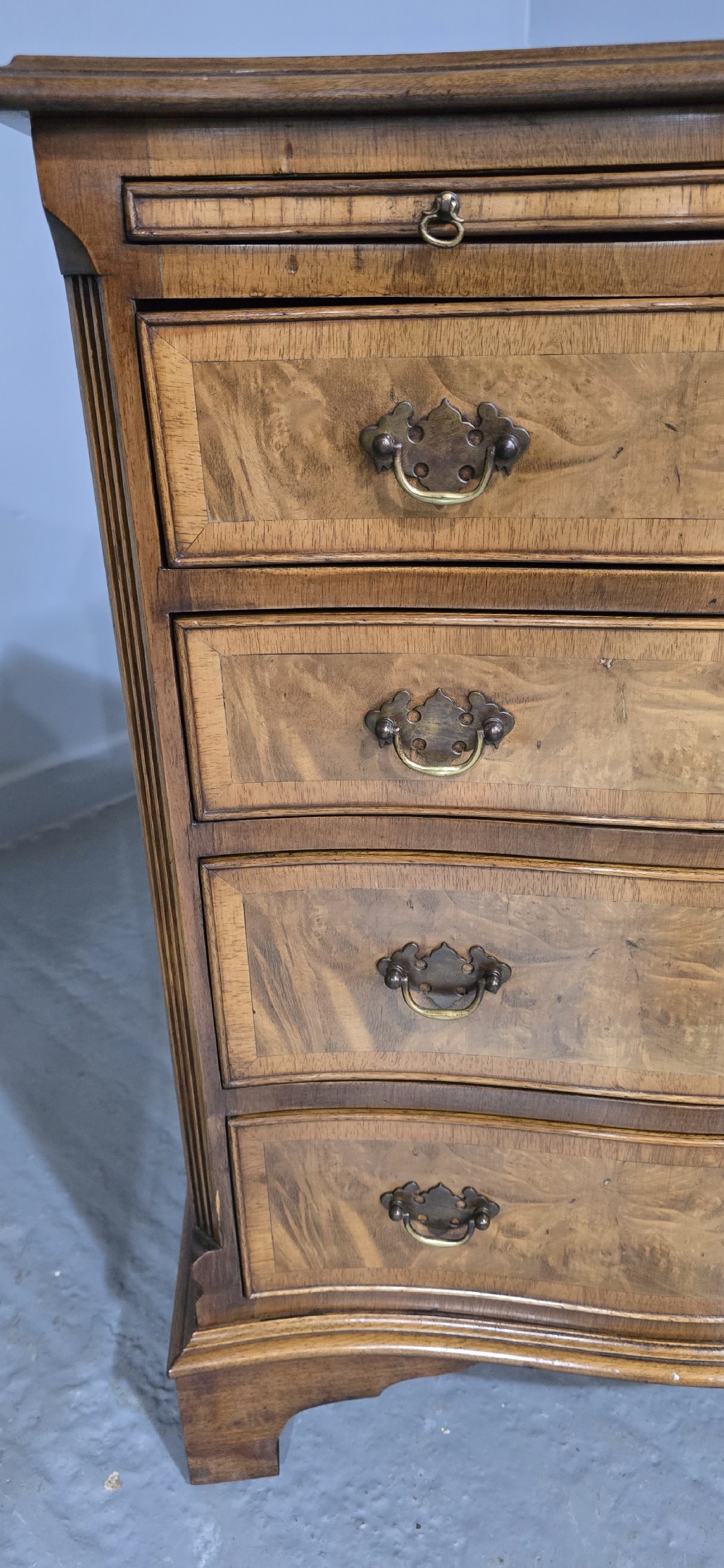Top Quality Burr Walnut Chest of Drawers View X