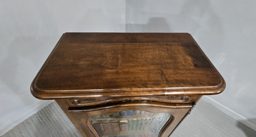 A French walnut single-door bookcase with a carved top frieze, glazed upper panel, solid lower panel, and carved cabriole feet. View IX