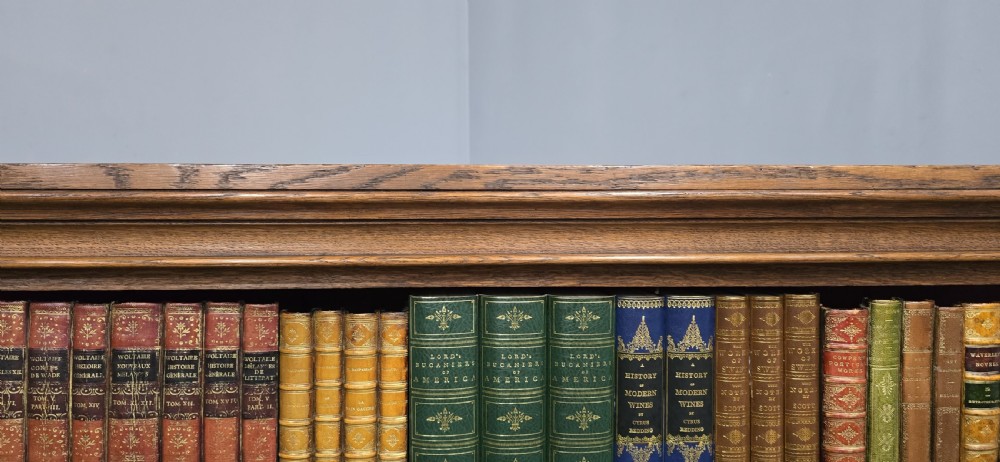 Victorian Open Adjutable Library Bookcase View V