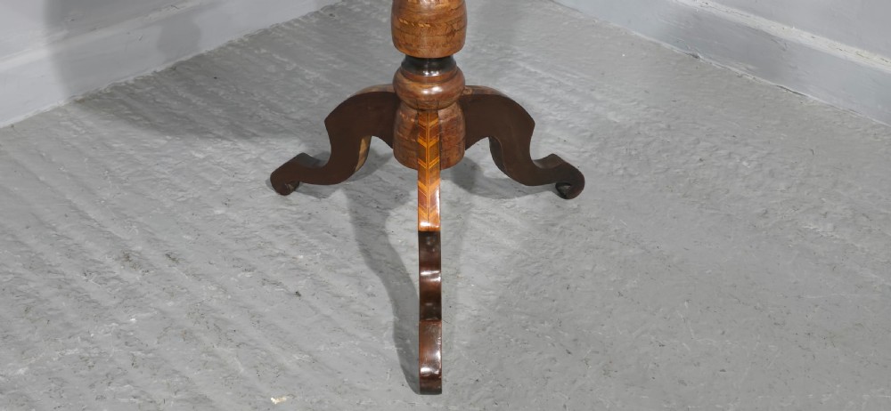 Italian Specimen Table View II