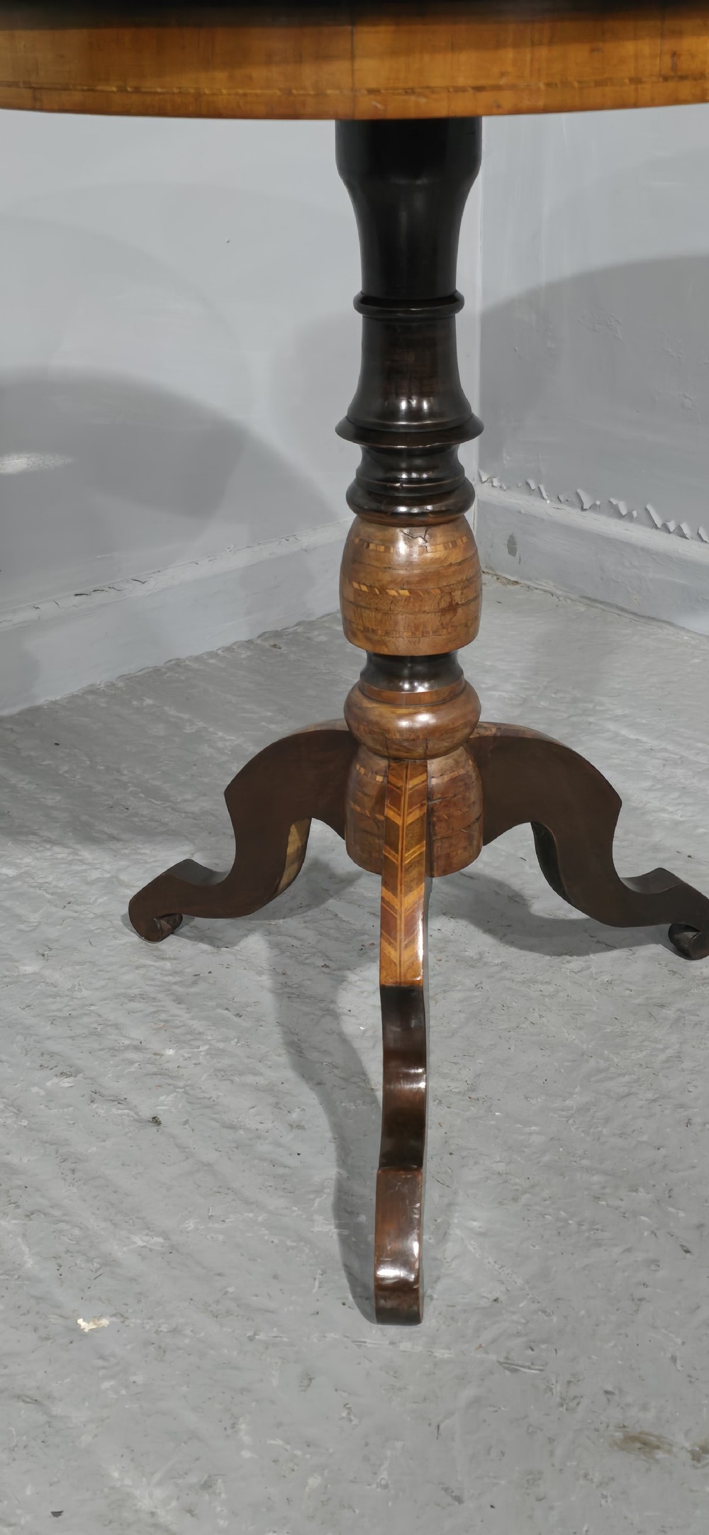Italian Specimen Table View III