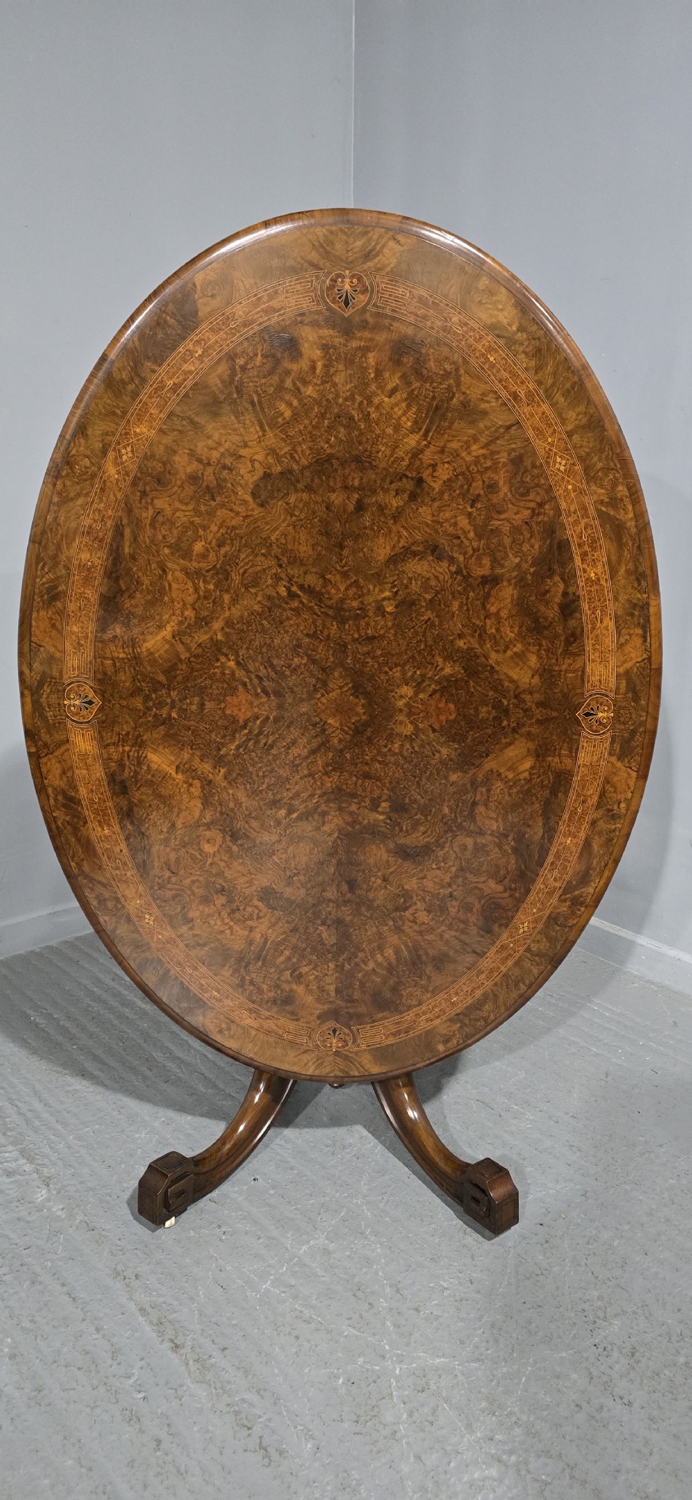 Superb Burr Walnut Dining Table View VI