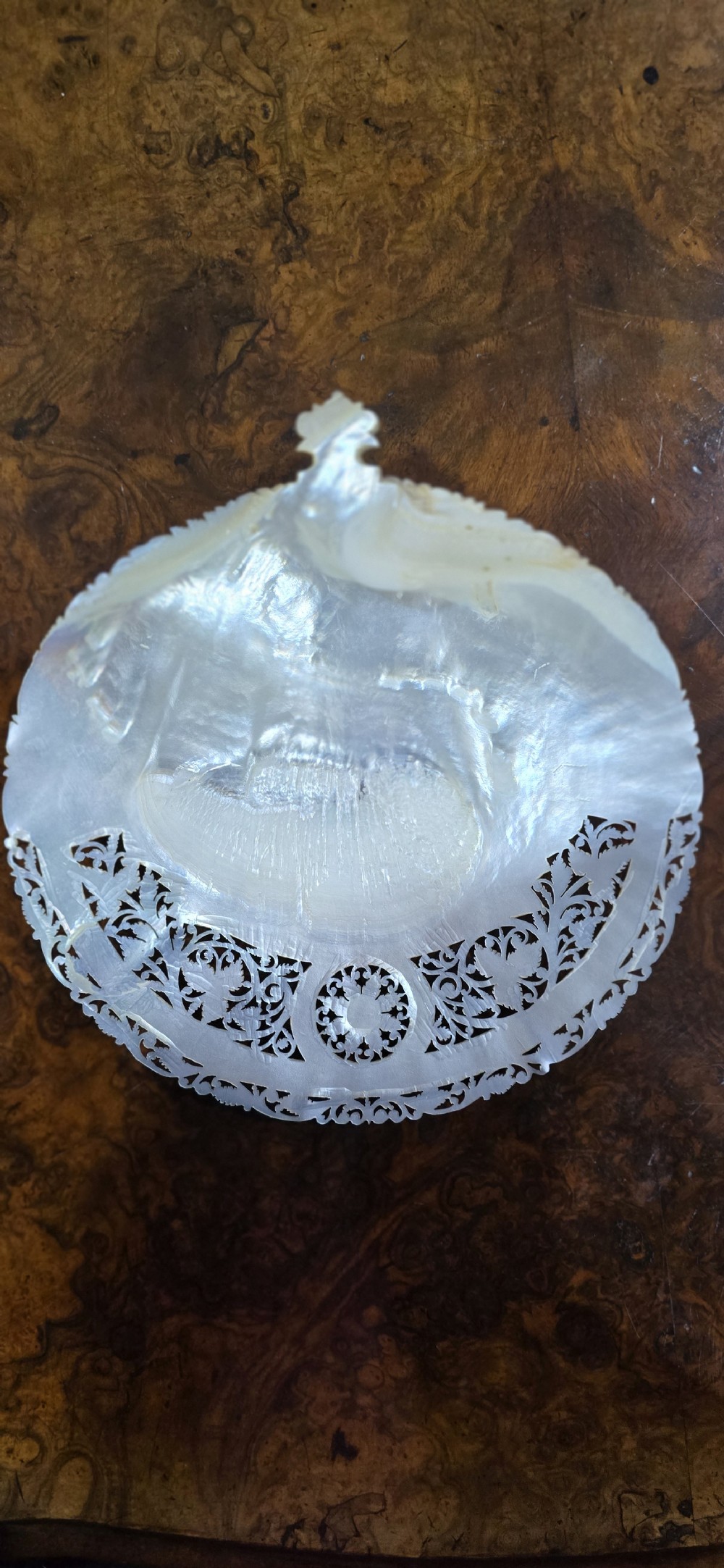 Superb Mother of Pearl Carved Shell View V
