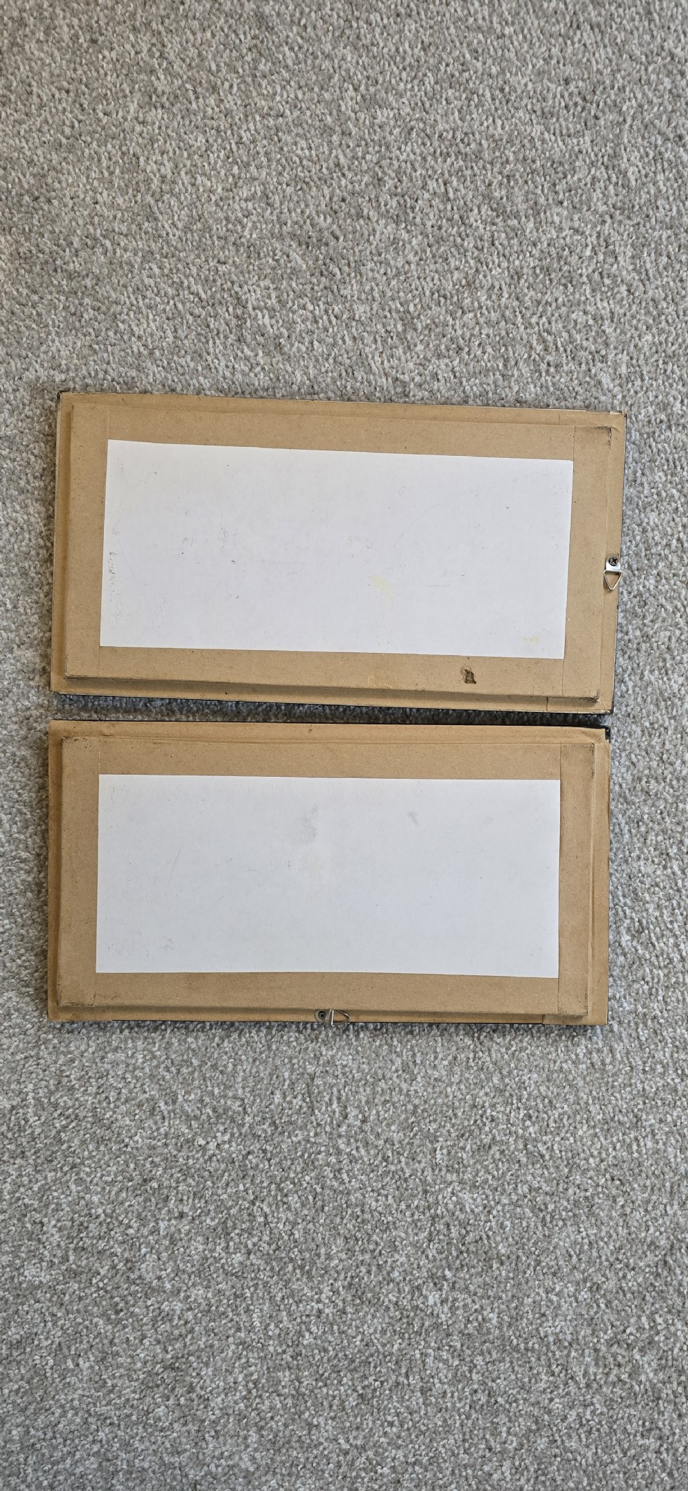 Two rectangular black-framed displays featuring preserved butterfly specimens with printed labels mounted on a white backing. View V