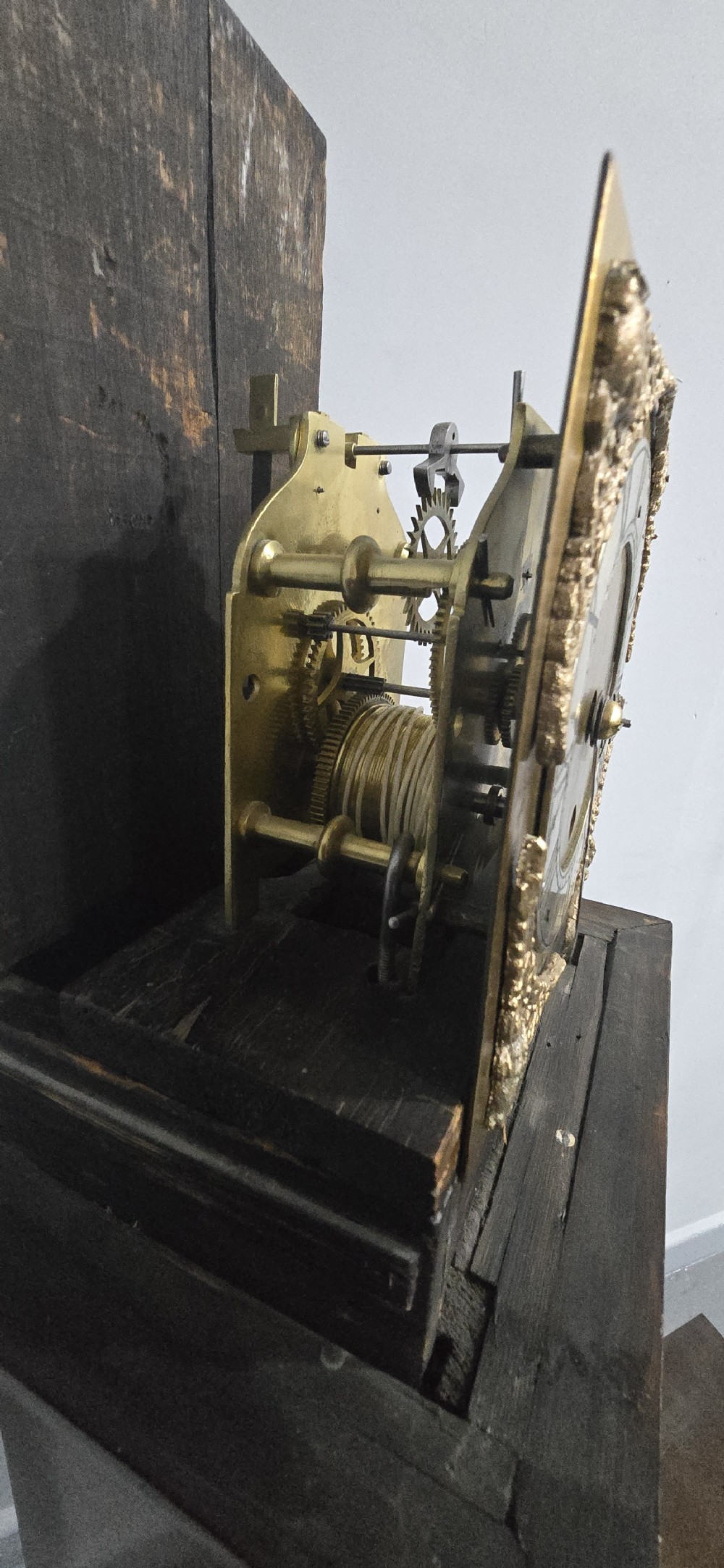A slim floor-standing longcase clock crafted from figured burr walnut with a square brass dial and bracket feet. View X