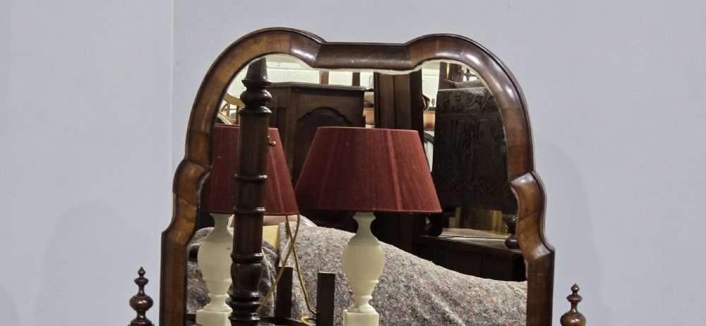 A full-length antique walnut cheval mirror featuring an arched top frame, turned vertical supports with finials, and carved cabriole legs. View VI