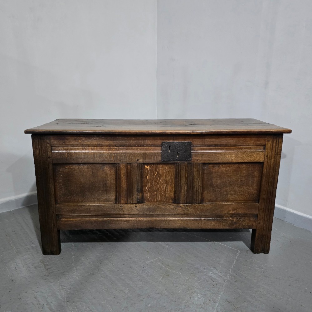 A dark brown Georgian oak coffer featuring a rectangular hinged lid, three recessed front panels, horizontal moulded rails, and an iron lock plate. View II