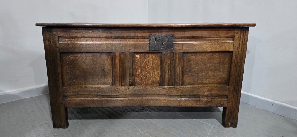 A dark brown Georgian oak coffer featuring a rectangular hinged lid, three recessed front panels, horizontal moulded rails, and an iron lock plate. View III