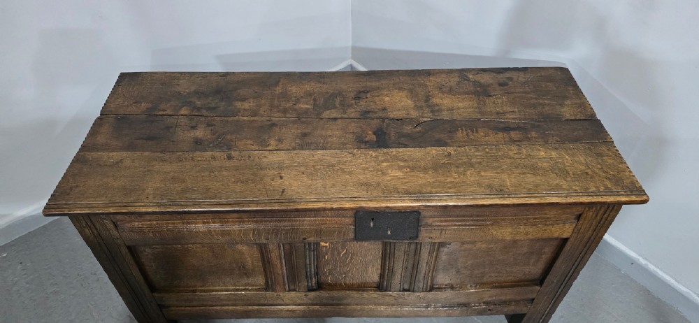 A dark brown Georgian oak coffer featuring a rectangular hinged lid, three recessed front panels, horizontal moulded rails, and an iron lock plate. View IV