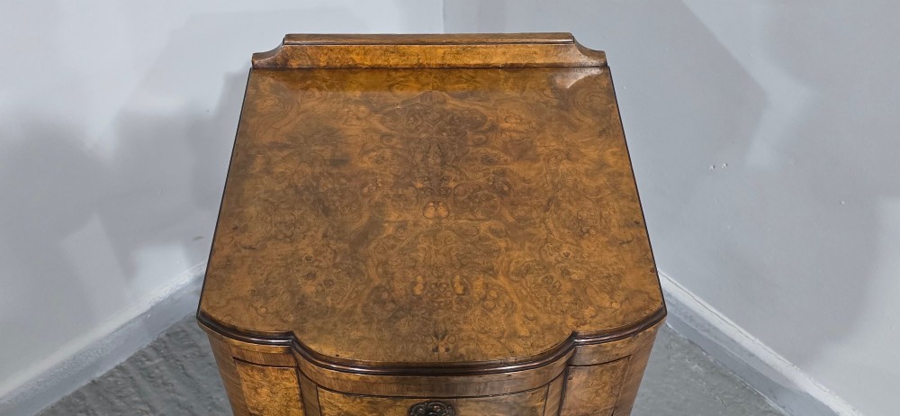 A small burr walnut side cabinet with a single upper drawer over a cupboard door, raised on carved cabriole legs with claw-and-ball feet. View V