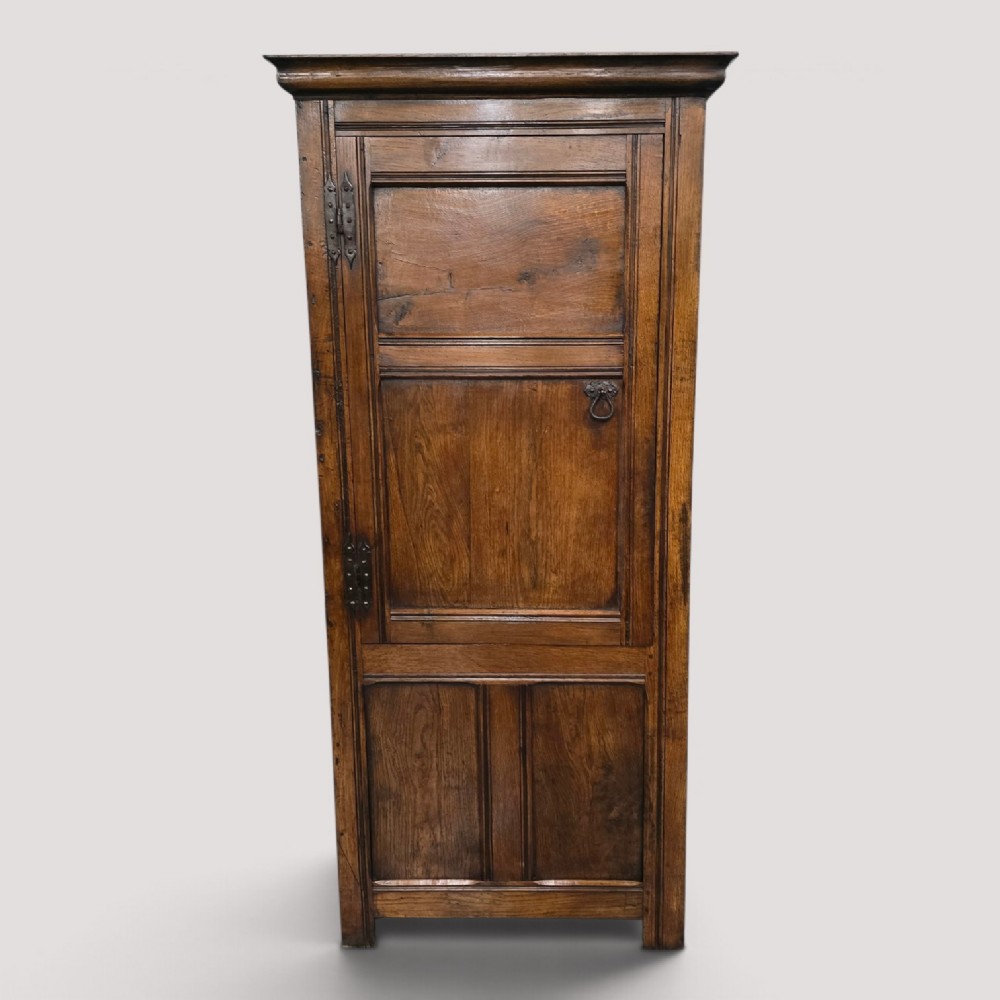 A tall, narrow antique dark oak food cupboard featuring panelled doors, hand-forged iron hinges, a metal ring drop handle, and a top moulded cornice.