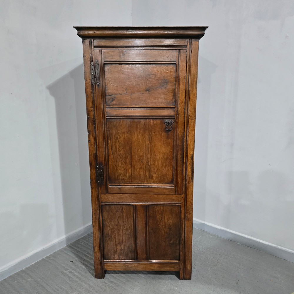 A tall, narrow antique dark oak food cupboard featuring panelled doors, hand-forged iron hinges, a metal ring drop handle, and a top moulded cornice. View II