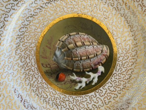 fig 2. A pair of circular Regency porcelain cabinet plates featuring hand-painted seashell central motifs surrounded by gilded vermicelli pattern borders.