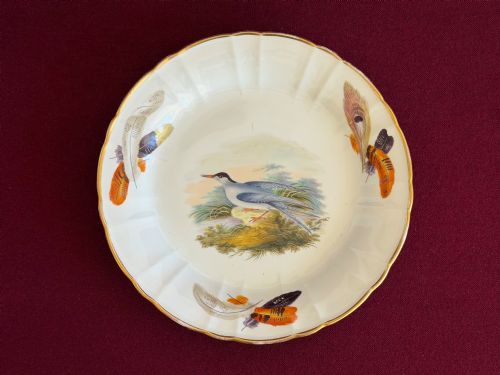 A Rare Wedgwood Bone China Plate with Painted with a 'Common Tern' C.1815