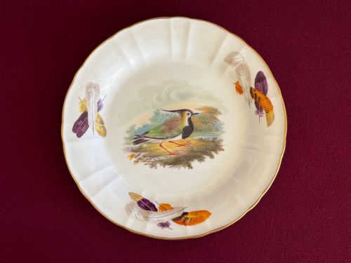 A Rare Wedgwood Bone China Plate with Painted with a 'Lapwing' C.1815