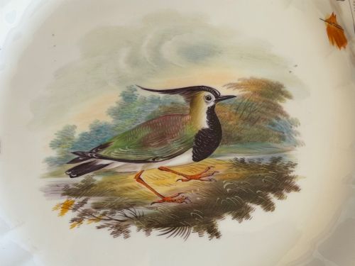 fig 1. A circular bone china plate featuring a central hand-painted lapwing bird study and feather motifs on the fluted rim with a gilded edge.