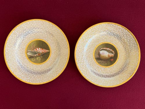 A Superb Pair of Barr, Flight and Barr Worcester Porcelain Plates C.1807-13