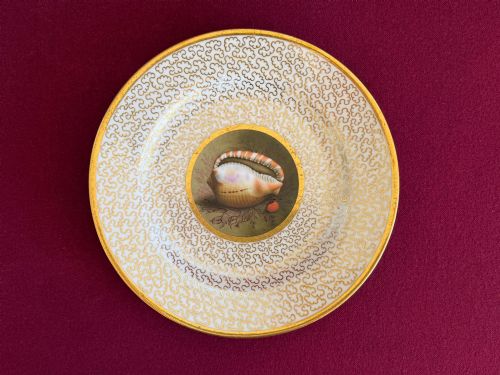 fig 1. A pair of circular antique Regency Worcester porcelain plates featuring hand-painted seashell central vignettes surrounded by detailed gold vermicelli gilding.