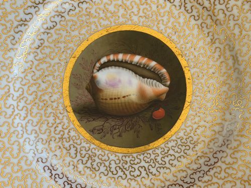 fig 2. A pair of circular antique Regency Worcester porcelain plates featuring hand-painted seashell central vignettes surrounded by detailed gold vermicelli gilding.