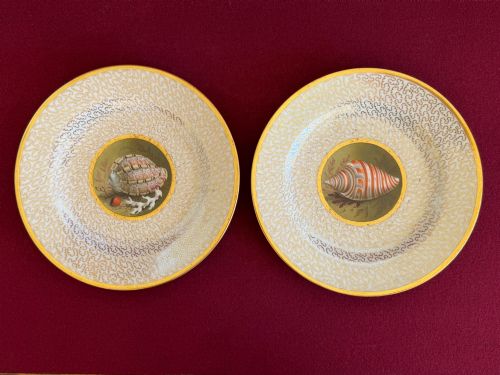 A Superb Pair of Barr, Flight and Barr Worcester Porcelain Plates C.1807-13
