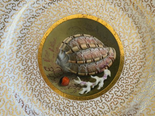 fig 2. A pair of circular Regency porcelain plates featuring central hand-painted shell reserves encircled by intricate gilt vermicelli borders.
