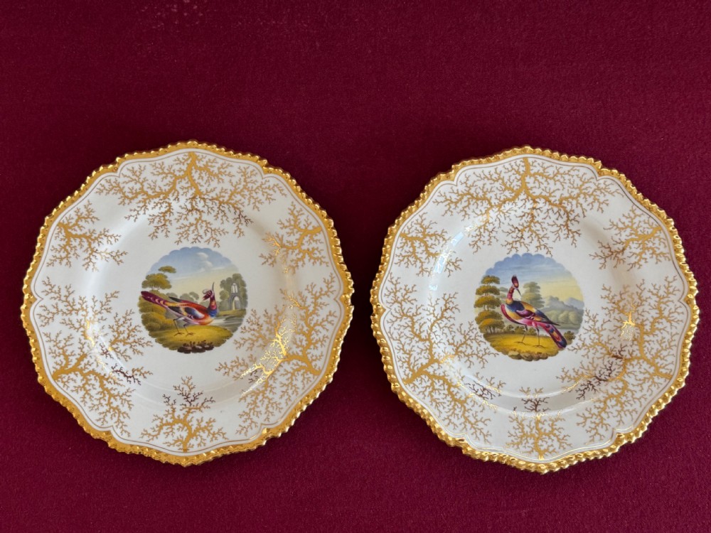 A pair of circular Regency porcelain dessert plates featuring central hand-painted exotic bird medallions surrounded by intricate gilt seaweed patterns and scalloped edges.