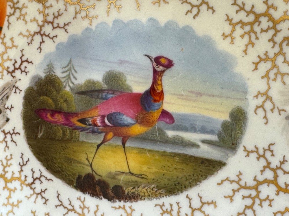 A Regency Flight, Barr and Barr Worcester porcelain basket featuring hand-painted feathers, a central landscape with a bird, and gold seaweed gilding on a white background with a central handle. View IV