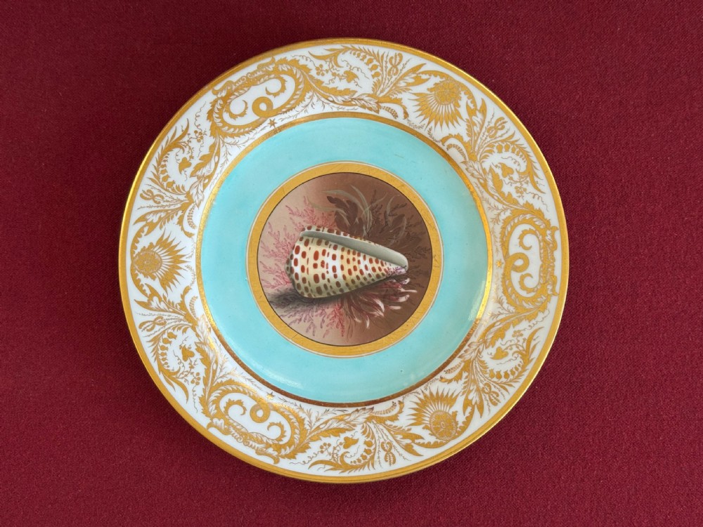 A circular Regency porcelain plate featuring a central hand-painted marine shell motif surrounded by a turquoise ground and gilded scrollwork on a white rim.