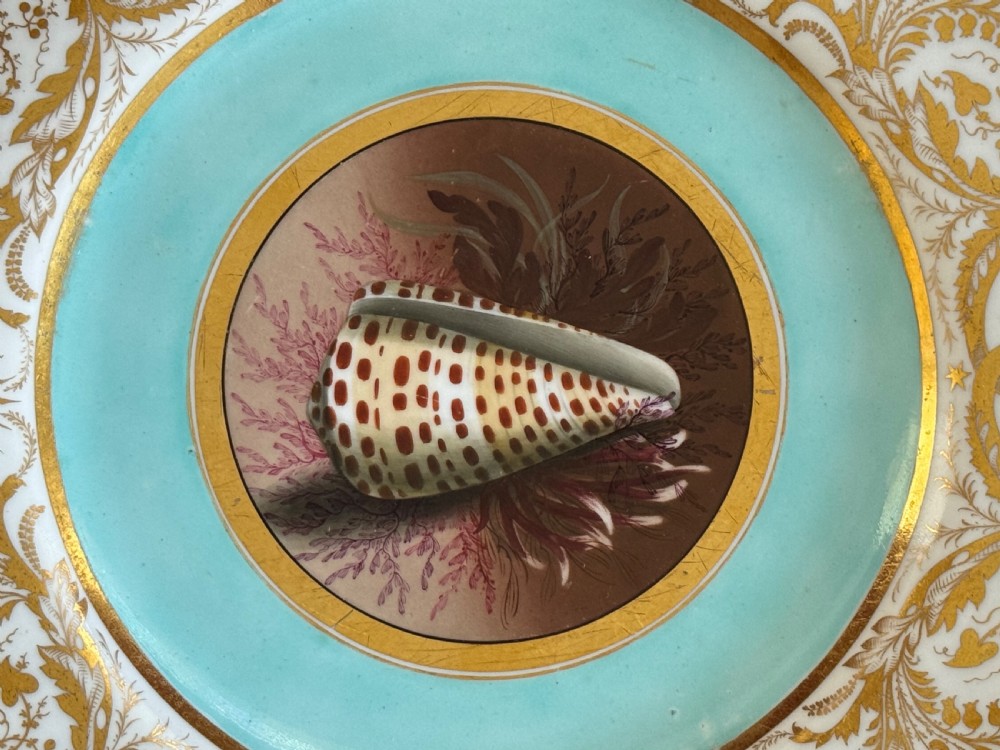 A circular Regency porcelain plate featuring a central hand-painted marine shell motif surrounded by a turquoise ground and gilded scrollwork on a white rim. View II