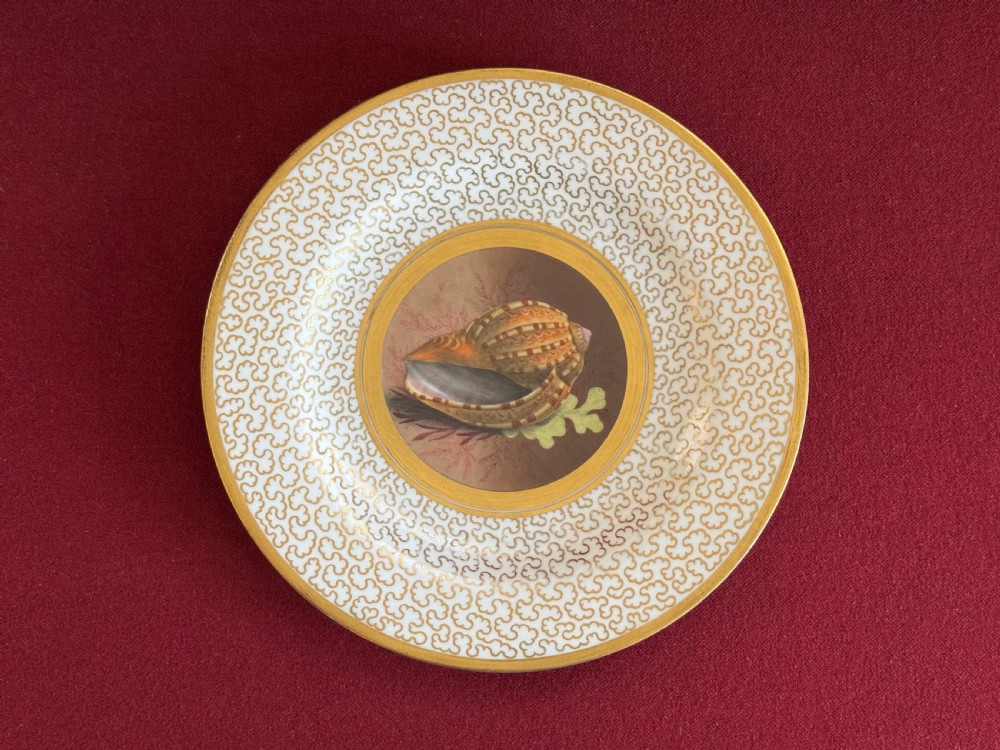 A circular Regency porcelain cabinet plate featuring a central hand-painted seashell vignette surrounded by concentric gold borders and an intricate gilt vermicelli pattern on the rim.