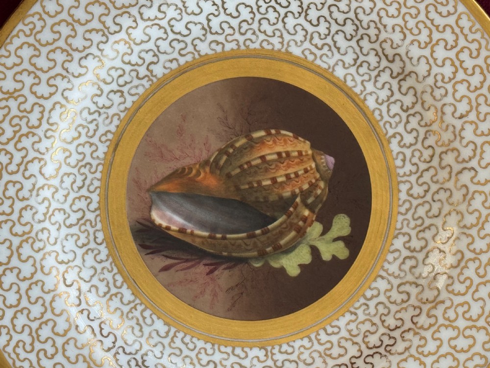 A circular Regency porcelain cabinet plate featuring a central hand-painted seashell vignette surrounded by concentric gold borders and an intricate gilt vermicelli pattern on the rim. View II