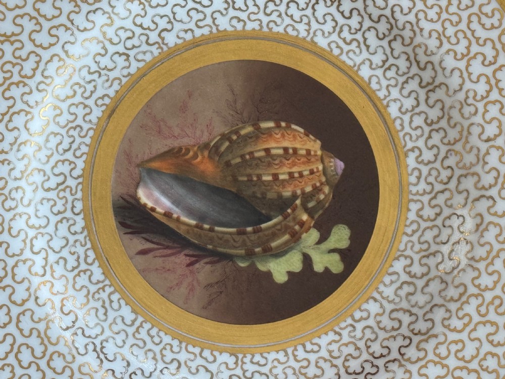 A circular Regency porcelain cabinet plate featuring a central hand-painted seashell vignette surrounded by concentric gold borders and an intricate gilt vermicelli pattern on the rim. View IV