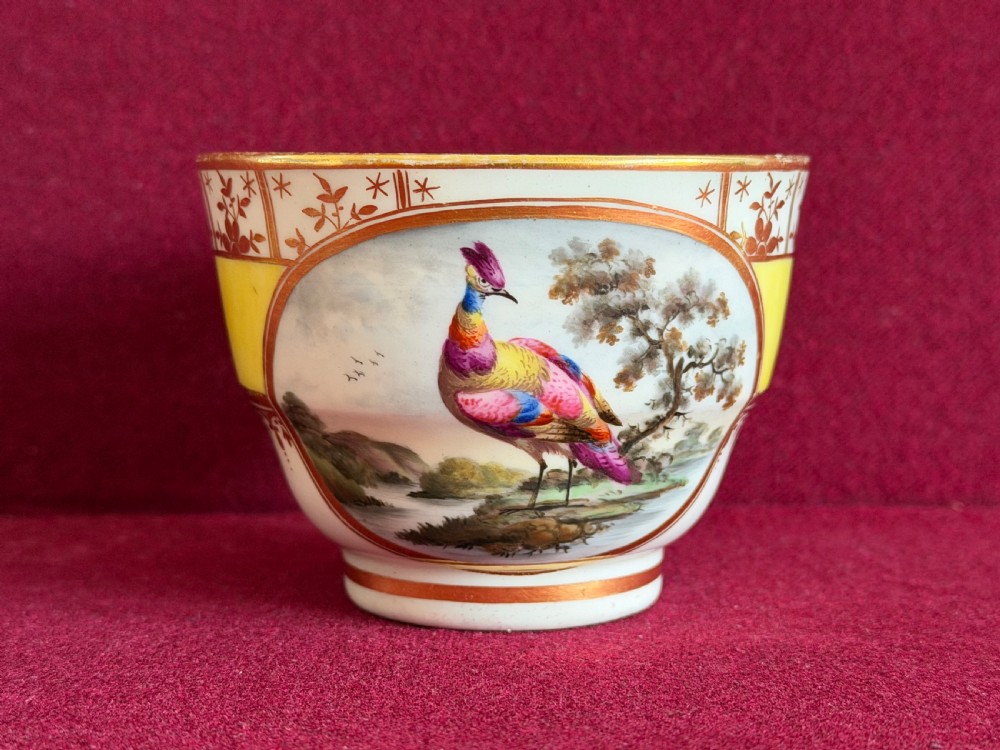 An early nineteenth-century Chamberlain Worcester teacup and saucer featuring a yellow ground, gilded rim details, and central circular reserves depicting hand-painted exotic birds in landscape settings. View III