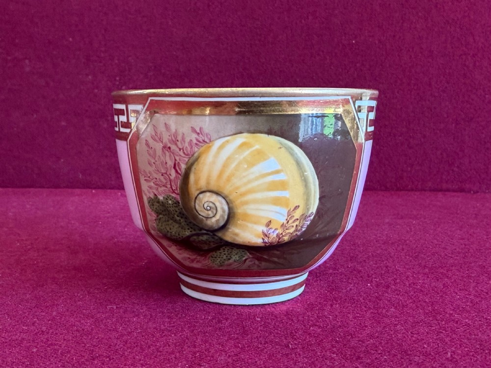 A superb Barr, Flight and Barr Worcester Porcelain Trio c.1810 View IV