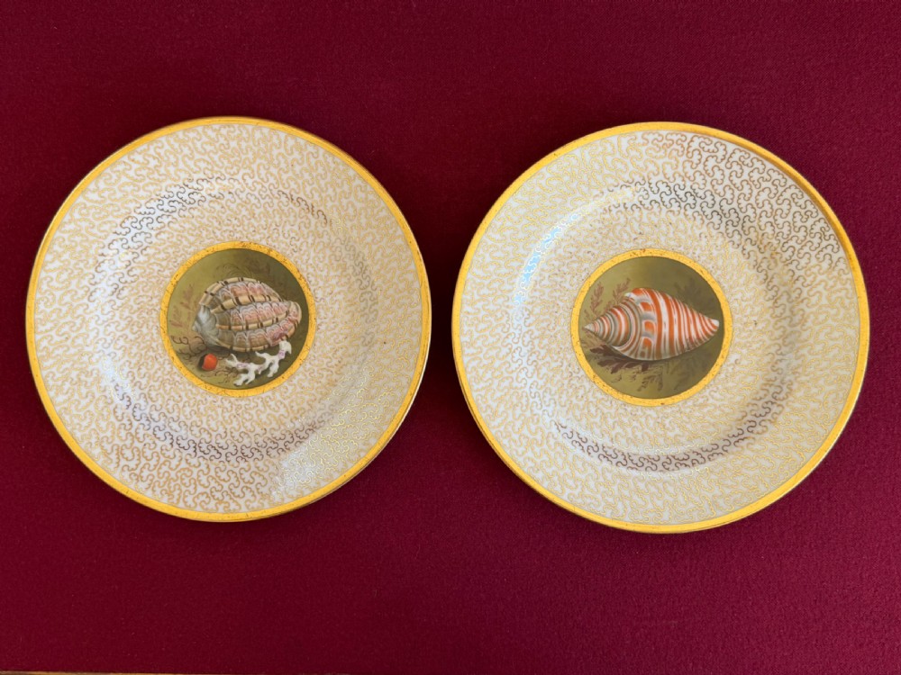 A pair of circular Regency porcelain cabinet plates featuring hand-painted seashell central motifs surrounded by gilded vermicelli pattern borders.