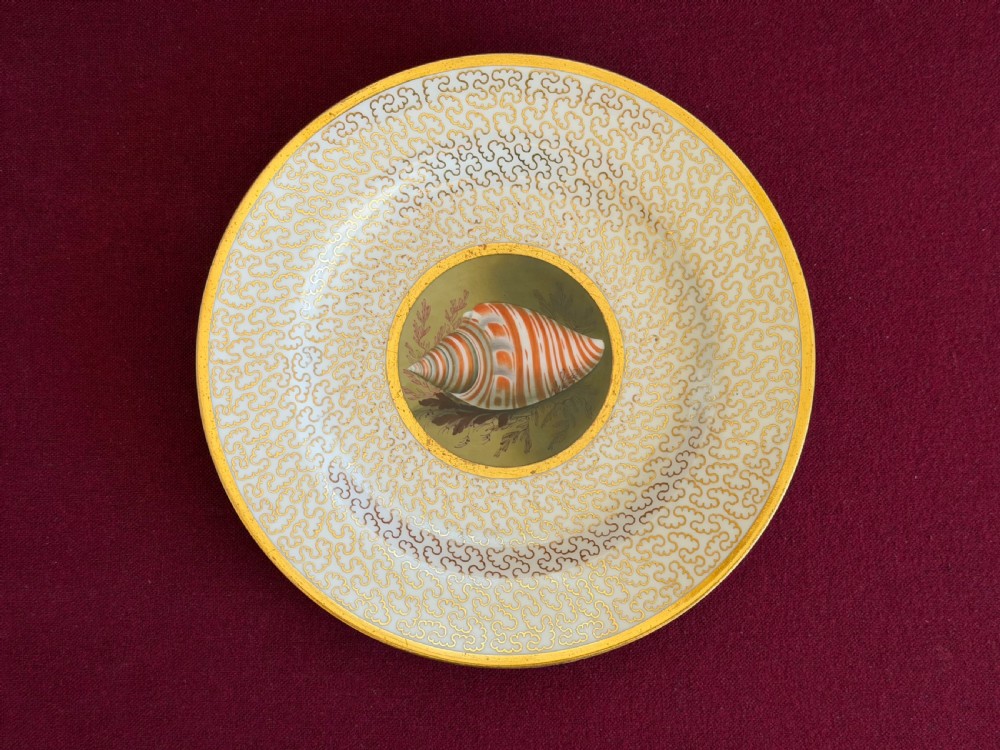A pair of circular Regency porcelain cabinet plates featuring hand-painted seashell central motifs surrounded by gilded vermicelli pattern borders. View IV