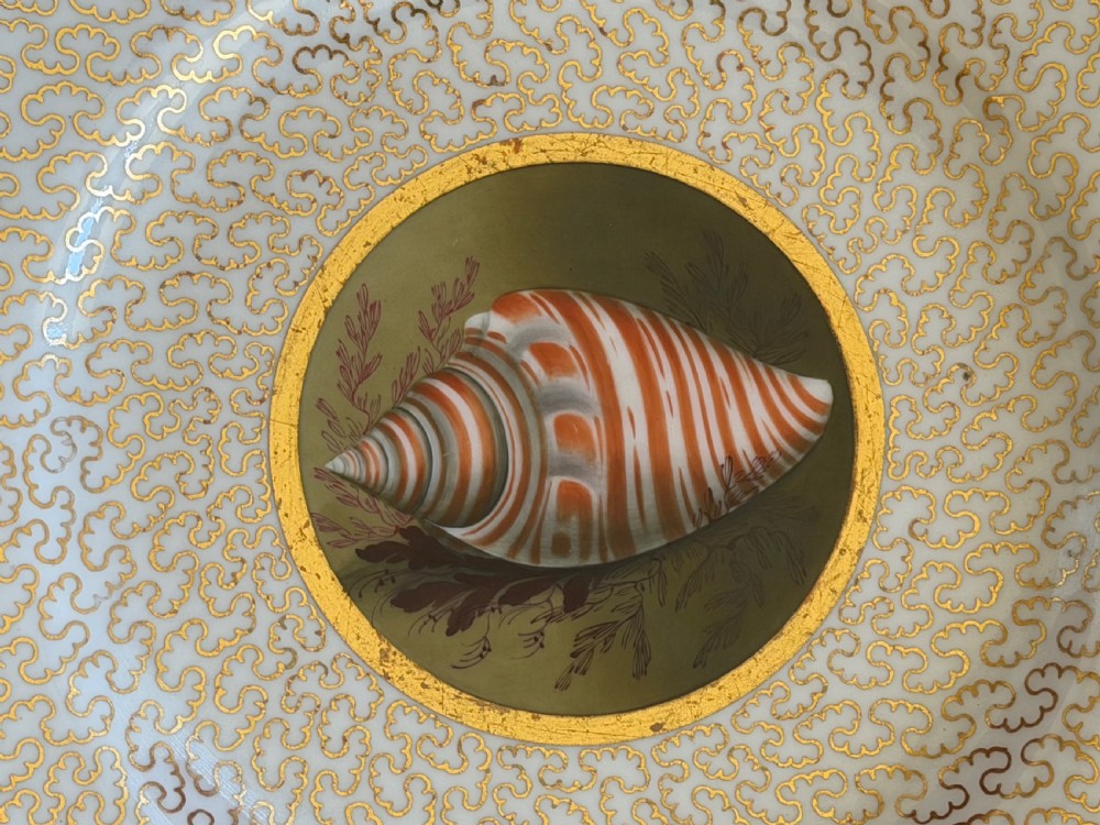A pair of circular Regency porcelain cabinet plates featuring hand-painted seashell central motifs surrounded by gilded vermicelli pattern borders. View V