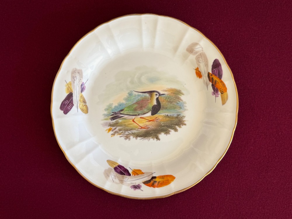 A circular bone china plate featuring a central hand-painted lapwing bird study and feather motifs on the fluted rim with a gilded edge.