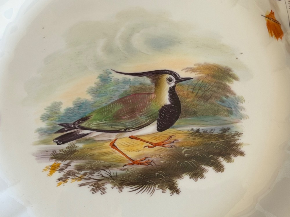 A circular bone china plate featuring a central hand-painted lapwing bird study and feather motifs on the fluted rim with a gilded edge. View II