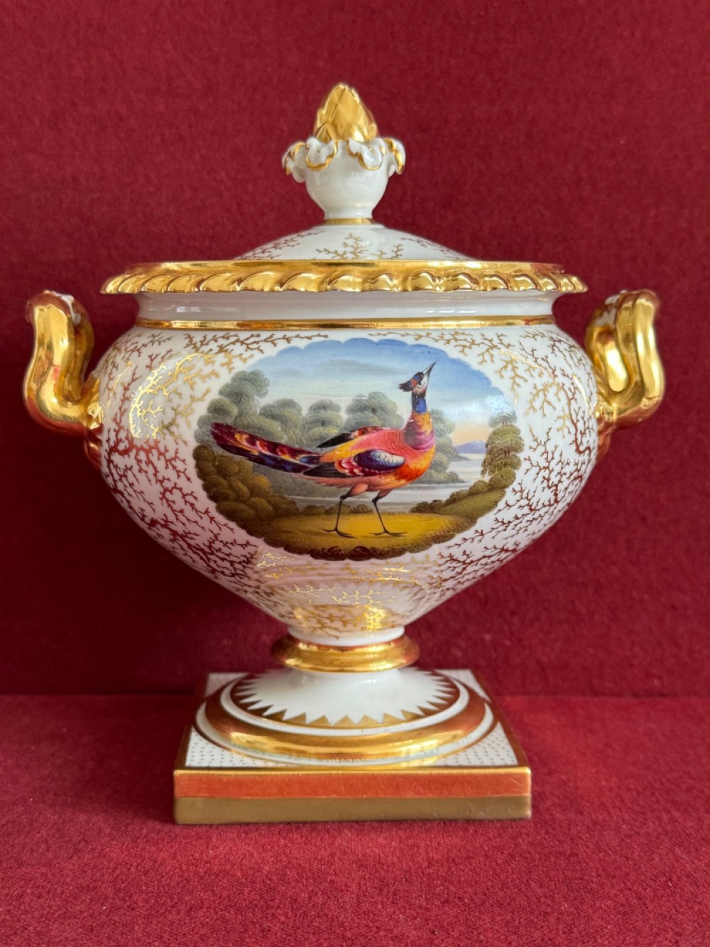 A pair of Regency Flight, Barr & Barr Worcester porcelain cream tureens featuring hand-painted exotic bird panels, elaborate gilding, twin scroll handles, and square plinth bases. View XII