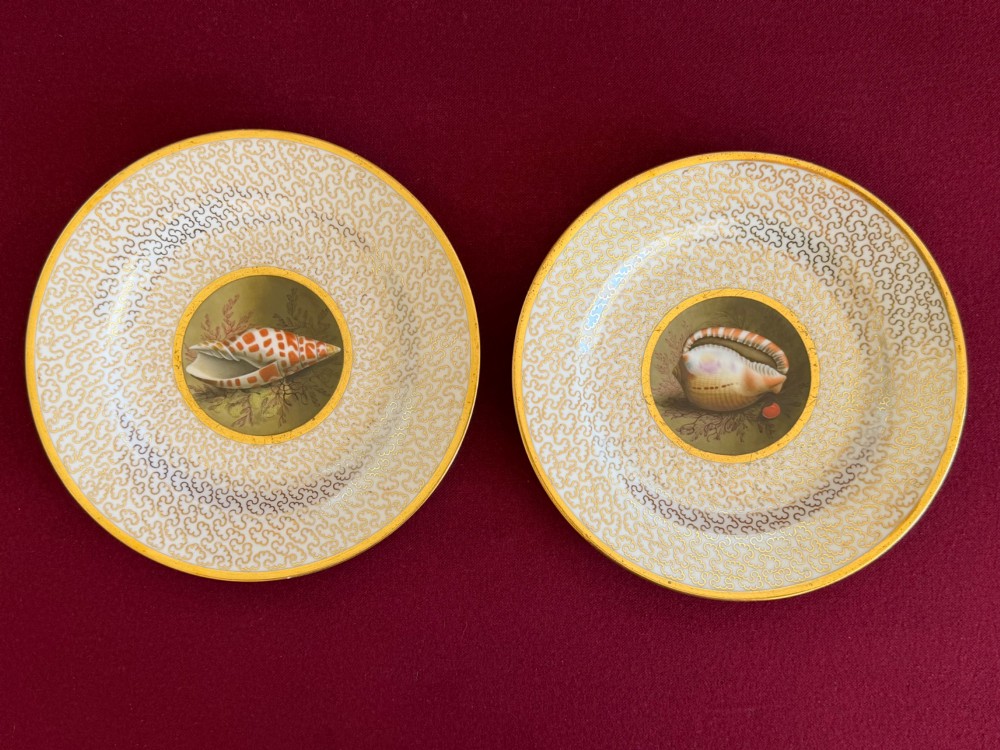 A pair of circular antique Regency Worcester porcelain plates featuring hand-painted seashell central vignettes surrounded by detailed gold vermicelli gilding.